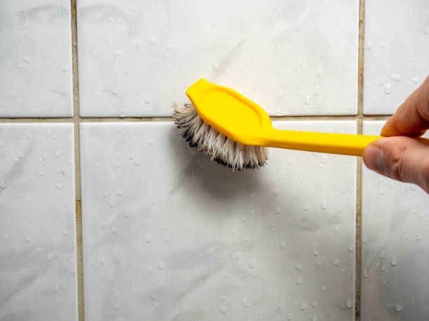Mold Removal Process in Foster Brook, PA