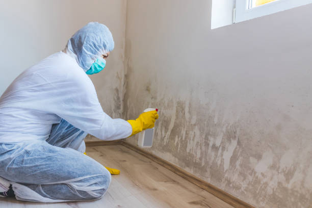 Best Mold Removal Process  in Foster Brook, PA