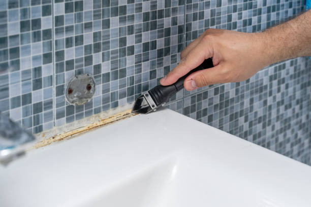 Best Toxic Mold Removal  in Foster Brook, PA