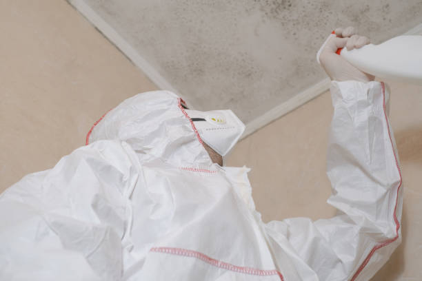 Best Attic Mold Removal  in Foster Brook, PA
