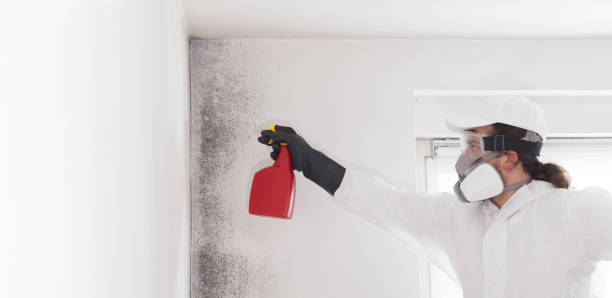 Mold Removal and Inspection in Foster Brook, PA