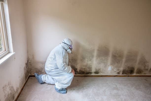 Best Mold Testing  in Foster Brook, PA